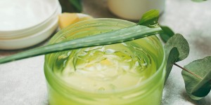 ALOE VERA AND CHLOROPHYLL: NATURE BETWEEN TRADITION AND INNOVATION